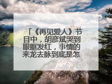 《再见爱人》节目中，胡彦斌哭到眼眶发红，事情的来龙去脉到底是怎样的？