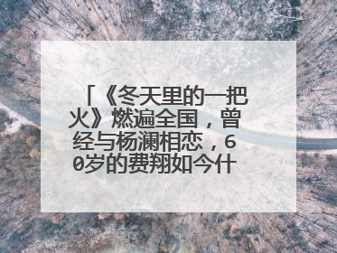 《冬天里的一把火》燃遍全国，曾经与杨澜相恋，60岁的费翔如今什么样？