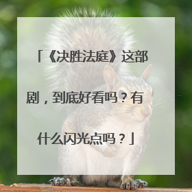 《决胜法庭》这部剧，到底好看吗？有什么闪光点吗？