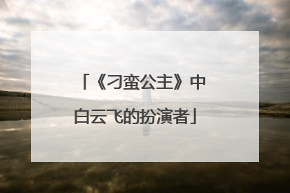 《刁蛮公主》中白云飞的扮演者