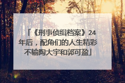 《刑事侦缉档案》24年后,配角们的人生精彩不输陶大宇和郭可盈