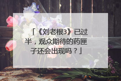 《刘老根3》已过半，观众期待的药匣子还会出现吗？