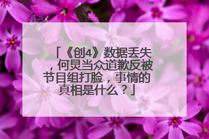 《创4》数据丢失，何炅当众道歉反被节目组打脸，事情的真相是什么？