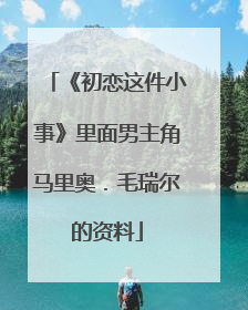 《初恋这件小事》里面男主角马里奥.毛瑞尔的资料