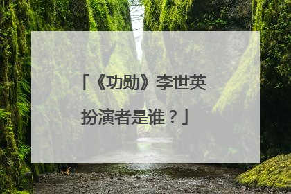 《功勋》李世英扮演者是谁？