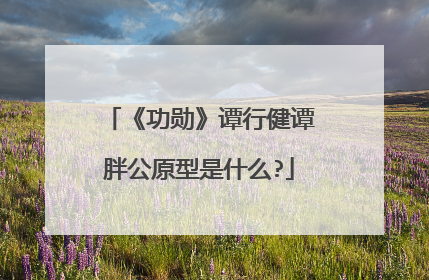 《功勋》谭行健谭胖公原型是什么?