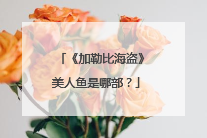 《加勒比海盗》美人鱼是哪部？