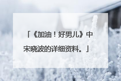 《加油!好男儿》中宋晓波的详细资料。