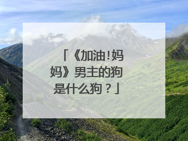 《加油!妈妈》男主的狗是什么狗?