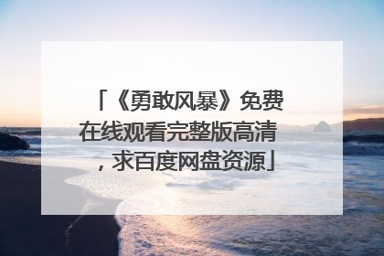 《勇敢风暴》免费在线观看完整版高清，求百度网盘资源