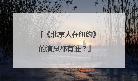 《北京人在纽约》的演员都有谁?