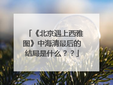 《北京遇上西雅图》中海清最后的结局是什么??