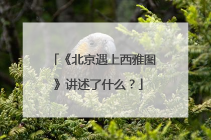 《北京遇上西雅图》讲述了什么?