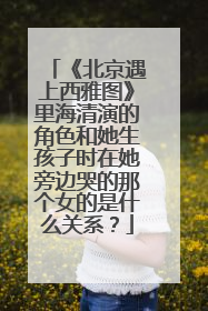 《北京遇上西雅图》里海清演的角色和她生孩子时在她旁边哭的那个女的是什么关系?