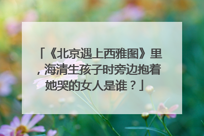 《北京遇上西雅图》里，海清生孩子时旁边抱着她哭的女人是谁？