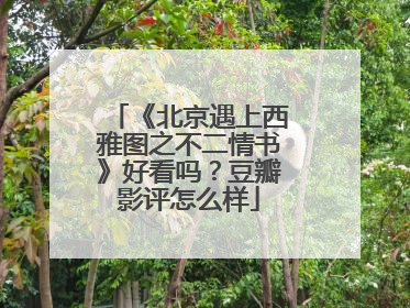 《北京遇上西雅图之不二情书》好看吗？豆瓣影评怎么样