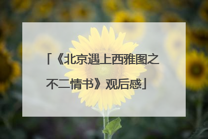 《北京遇上西雅图之不二情书》观后感