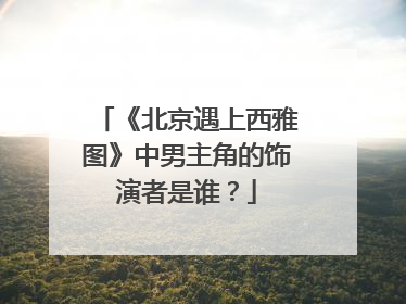 《北京遇上西雅图》中男主角的饰演者是谁?
