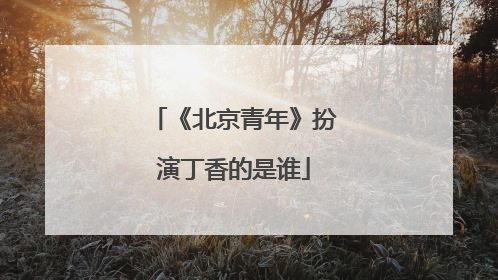 《北京青年》扮演丁香的是谁