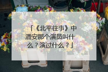 《北平往事》中潘安那个演员叫什么?演过什么?