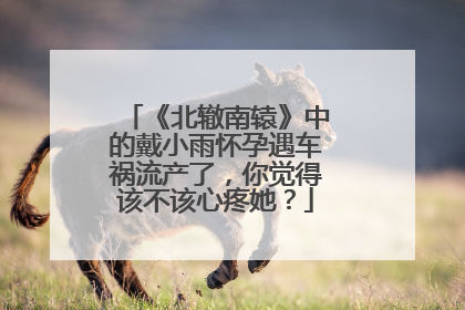 《北辙南辕》中的戴小雨怀孕遇车祸流产了,你觉得该不该心疼她?