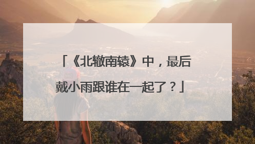 《北辙南辕》中，最后戴小雨跟谁在一起了？