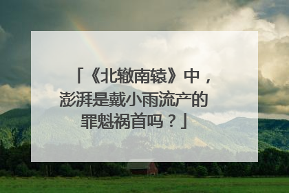 《北辙南辕》中,澎湃是戴小雨流产的罪魁祸首吗?