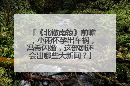 《北辙南辕》前瞻，小雨怀孕出车祸，冯希闪婚，这部剧还会出哪些大新闻？
