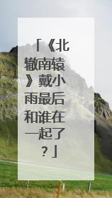 《北辙南辕》戴小雨最后和谁在一起了？