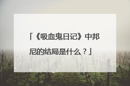 《吸血鬼日记》中邦尼的结局是什么?
