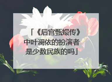 《后宫甄嬛传》中叶澜依的扮演者是少数民族的吗