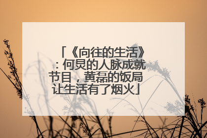 《向往的生活》：何炅的人脉成就节目，黄磊的饭局让生活有了烟火