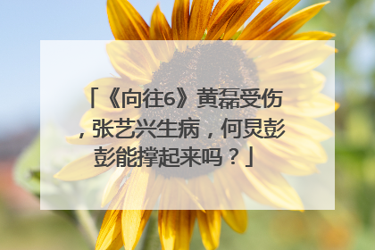 《向往6》黄磊受伤，张艺兴生病，何炅彭彭能撑起来吗？