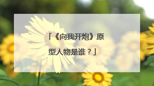 《向我开炮》原型人物是谁?