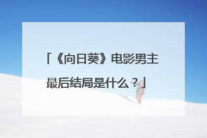 《向日葵》电影男主最后结局是什么?