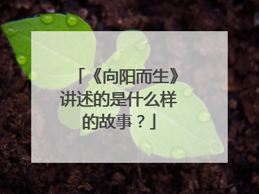 《向阳而生》讲述的是什么样的故事？