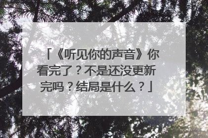 《听见你的声音》你看完了?不是还没更新完吗?结局是什么?
