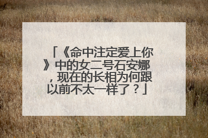 《命中注定爱上你》中的女二号石安娜，现在的长相为何跟以前不太一样了？
