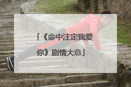 《命中注定我爱你》剧情大意