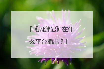 《周游记》在什么平台播出？