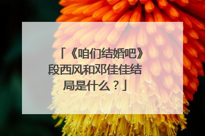 《咱们结婚吧》段西风和邓佳佳结局是什么？