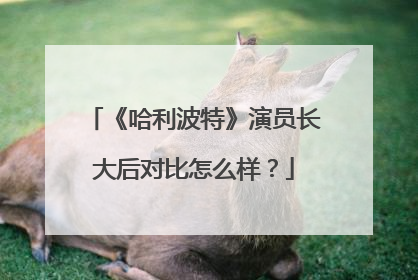 《哈利波特》演员长大后对比怎么样？