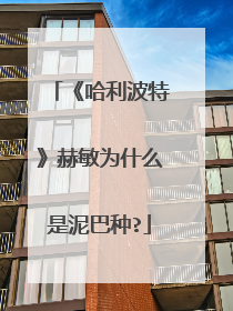 《哈利波特》赫敏为什么是泥巴种?