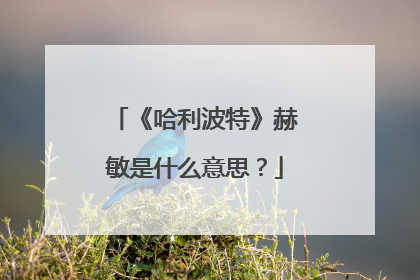 《哈利波特》赫敏是什么意思?