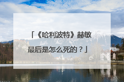 《哈利波特》赫敏最后是怎么死的?