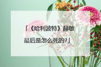 《哈利波特》赫敏最后是怎么死的?