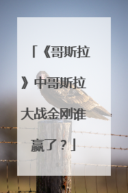《哥斯拉》中哥斯拉大战金刚谁赢了?