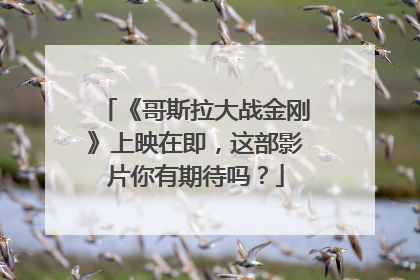 《哥斯拉大战金刚》上映在即，这部影片你有期待吗？