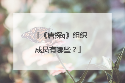 《唐探q》组织成员有哪些？