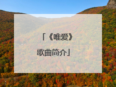 《唯爱》歌曲简介